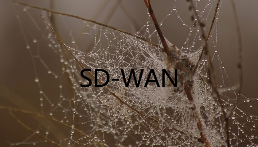 SD-WAN 是如何優(yōu)化廣域網的?
